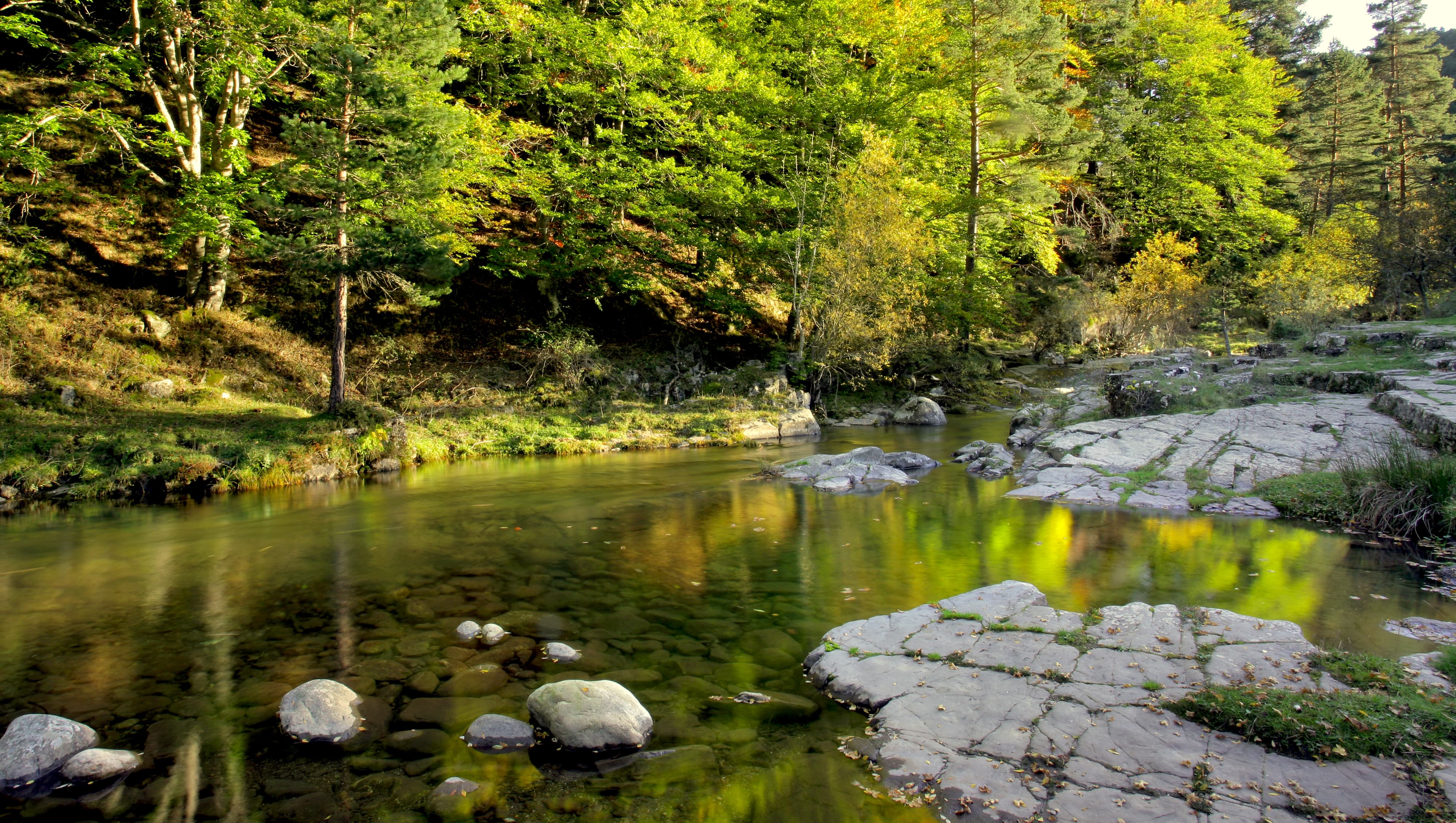 NATURAL PROTECTED AREAS